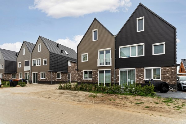 07_Moerasorchidee 31 - Lelystad.jpg